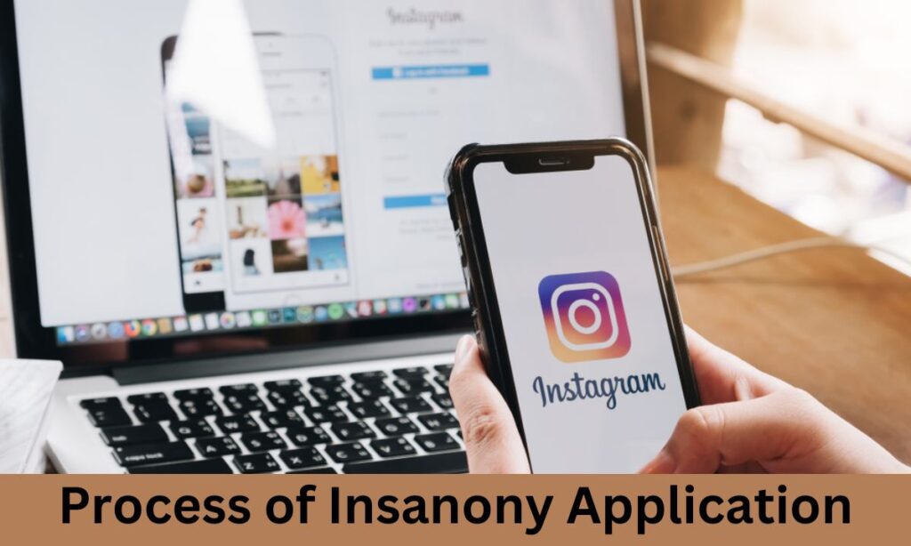 Process of insanony Application